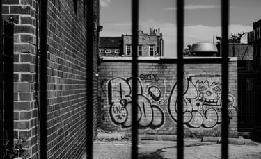 a blurred fence with a graffiti wall in the background on a brooklyn street