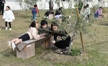 新檜尾台小学校の「みんなのオリーブの森」の一角に設置されたベンチ｜堺市のニュースならサカイタイムズ