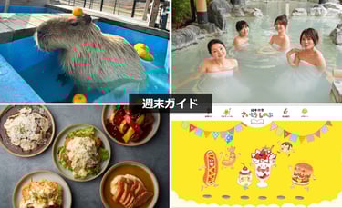 堺の週末イベントまとめ｜選挙割と最新予定の一覧