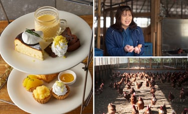 ミモザをイメージした柑橘スイーツの盛り合わせと、平地平飼い卵を手にする農業者の藤井美佐さん（卵娘庵）、日光が差し込む鶏舎内で放し飼いにされる鶏の様子｜堺市のニュースならサカイタイムズ