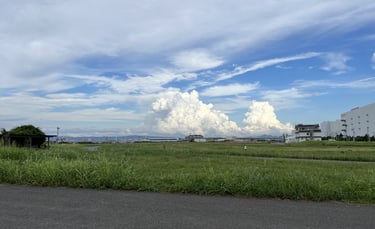海とのふれあい広場の画像|堺市のニュースならサカイタイムズ