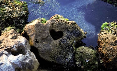 heart-rock-anna-maria-island