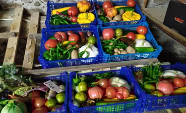 Paniers de légumes bio