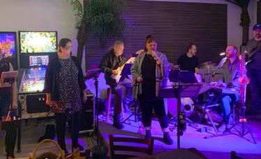 Birds of a feather band performing on stage