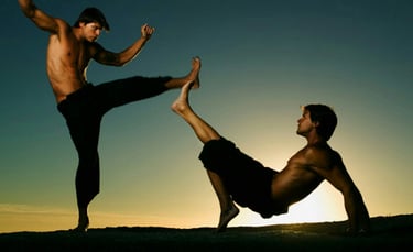 Musti-Yuddha: The Art of Bare-Handed Combat?