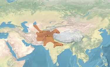 Kushan Empire Revealed: Archaeological Discoveries Uncover Ancient Central Asia's Greatest Civilizat