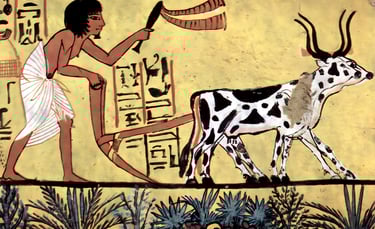 Divine Order: Religion, Afterlife, and the Egyptian Worldview