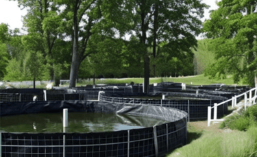 Fish Ponds or Tanks