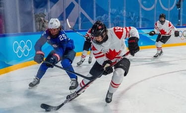 MW3838 Ice Hockey
