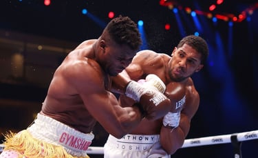 MW3838 Boxing