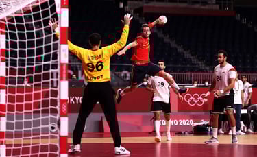 MW3838 HandBall