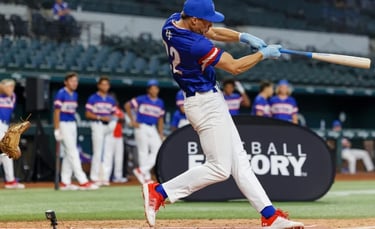 MW3838 Baseball