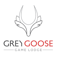 Worked at GreyGoose