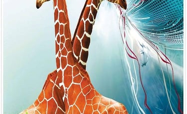 petsetes diafimistikes cotton microfiber