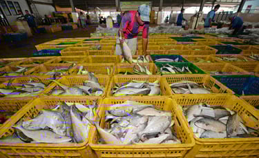 seafood supplier