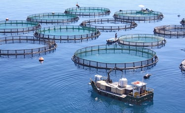 sustainable crab farming