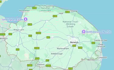 Screenshot of Google Maps of Norfolk county