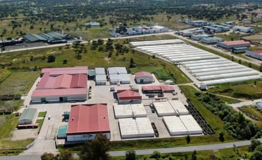 Imagen aérea de las instalaciones de COTABACO.