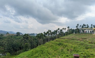 Hen Tae khao cafe, sawi Chumphon