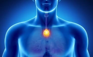Lymphatic massage - thymus gland body power center - Harmony massage Wioletta Soliwoda Wroclaw