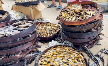 Dried Fish inside caramoan public market