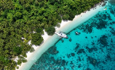 Aerial View of Pink Sand Beach