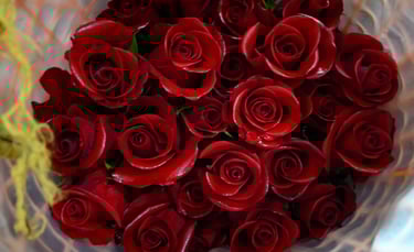 Day tour a una floricola en Mulaló