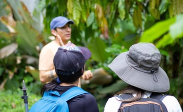 A nature guide leads a guided jungle tour for hikers in a lush tropical rainforest.