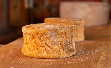 Day tour y degustacion en una quesera artesanal Pasochoa