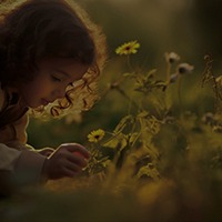 enfant qui cuille une fleur au milieu d'une prairie, accès rubrique Atelier des Alchimistes en Herbe