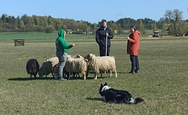 farm educational programs