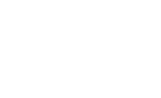 Official logo of the Art Of Vedas brand in Amsterdam