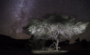 Nightscape, Voie Lactée, Milky Way, Via Lattea, Paysage Etoilé, Starry Landscape, Paesaggio stellato
