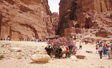 Panorama da cidade baixa de Petra, com as antigas ruínas e burros ao longe, acrescentando ao cenário