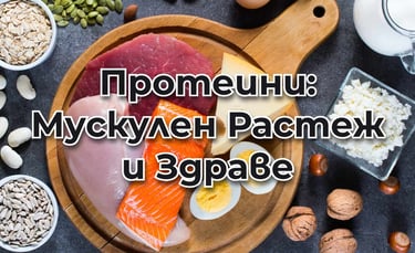 Дъска с наредени високопротеинови храни