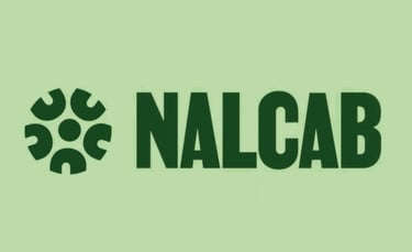 NALCAB, CDCG client case study