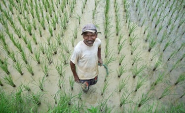A smiling Asian farmer standing in a flooded green rice paddy field during planting season.