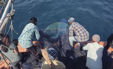 a group of fishers suspending net into the water