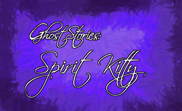 Ghost Stories: Cat Sighting/Spirit Kitty story