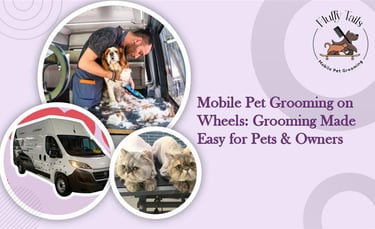 Mobile Pet Grooming on Wheels Grooming Made Easy for Pets & Owners