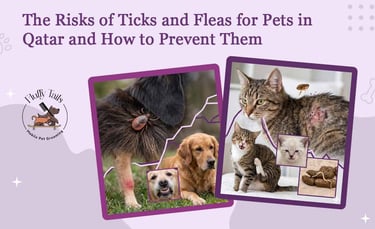 The Risks of Ticks and Fleas for Pets in Qatar and How to Prevent Them