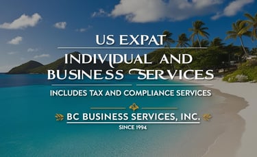 US Expat Expatriate Individual and Business Services