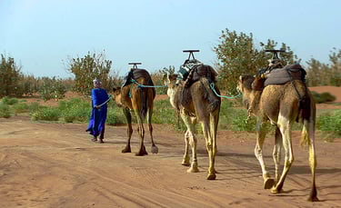 morocco photography tours