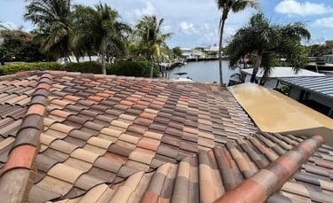 tile roof soft washing services