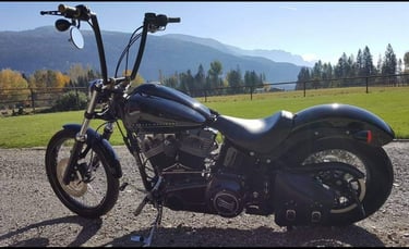 Custom Harley Handlebars