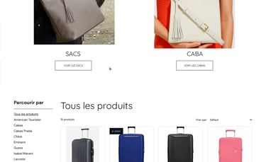 a woman's handbag and a handbag on a website
