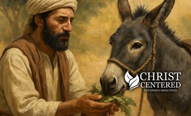 a man in a turban is holding a donkey