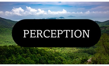 Perception