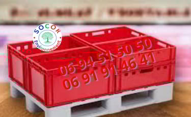 palette maroc contactez le 0694515050