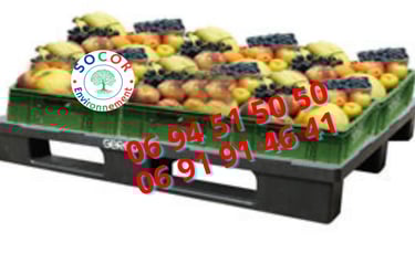 palette maroc contactez le 0694515050